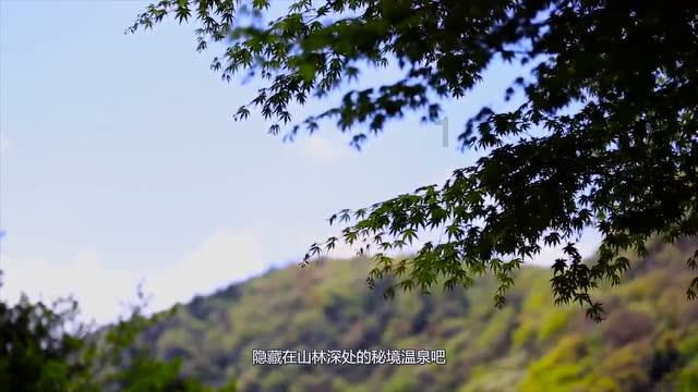 奔跑吧兄弟6