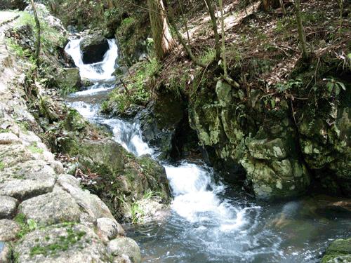 铜川市王益区节前消费火、市场旺、人气足